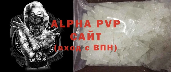 стафф Касимов