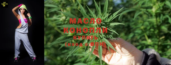 дмт Карпинск