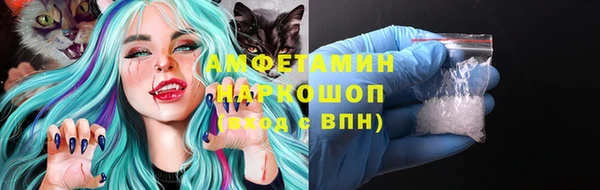 стафф Касимов