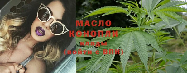 стафф Касимов