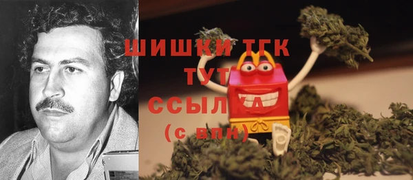 дмт Карпинск